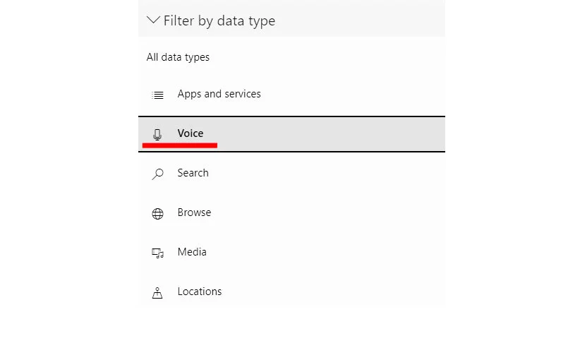 Micorosft Cortana Filter by data type