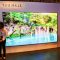 146 дюймовый модульный телевизор Samsung The Wall TV появиться в Августе