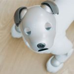 Робот собака Aibo от Sony с новым API теперь выступает в роли домашнего помощника
