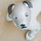 Робот собака Aibo от Sony с новым API теперь выступает в роли домашнего помощника