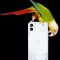 Как посмотреть трансляцию события по выпуску Nothing Phone 1